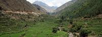 Himalaya trekking: GHT Rara Lakes and Yari Valley